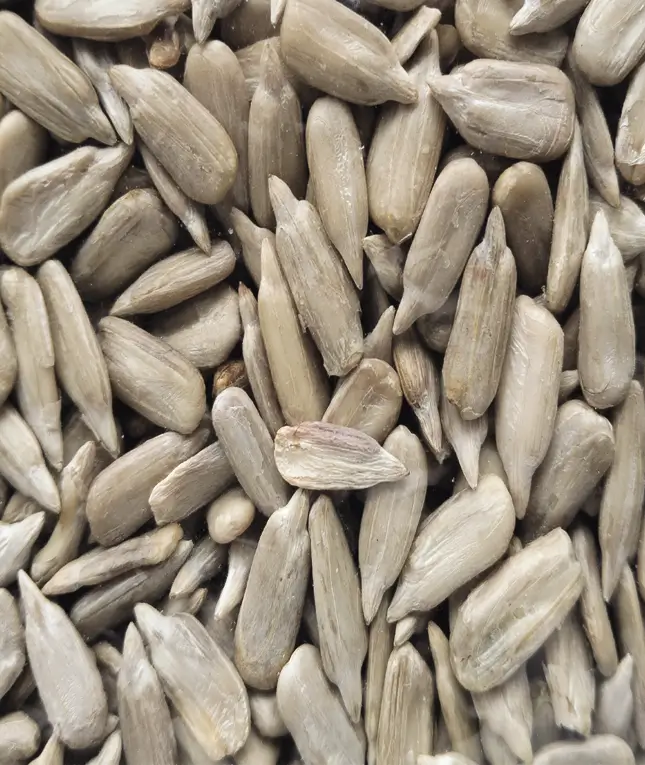 Sunflower Seed( সূর্যমুখী বীজ) ১০০ গ্রাম