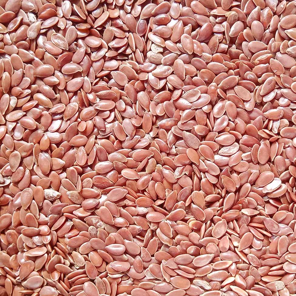 Flax Seeds (তিশি বীজ) ২৫০ গ্রাম